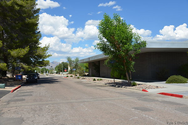 DSC 7568