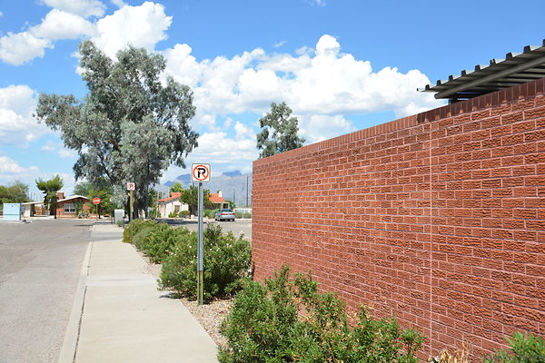 DSC 7553