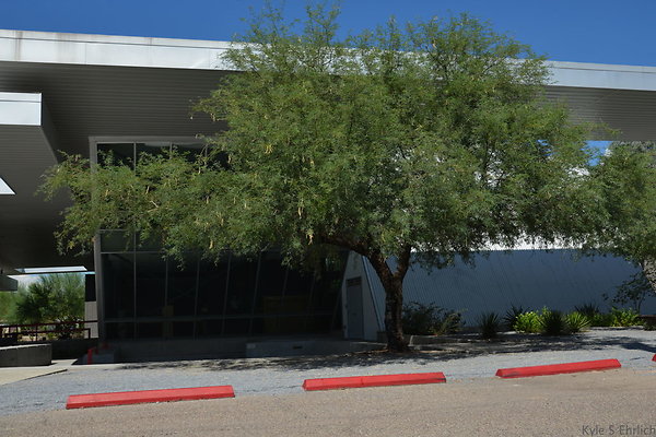 DSC 7544