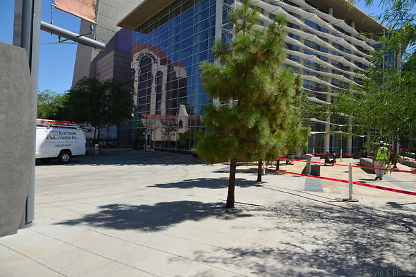 DSC 4219