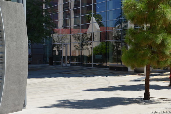DSC 4217