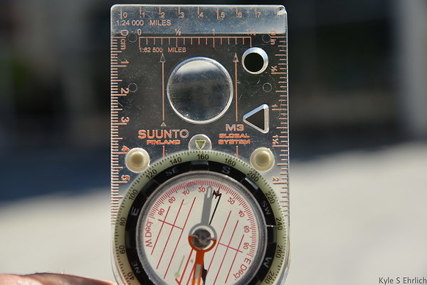 DSC 4203