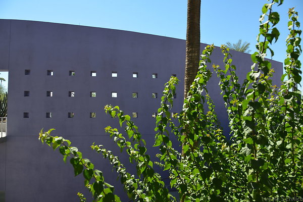 DSC 4246