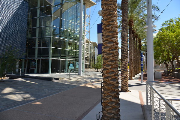 DSC 4261