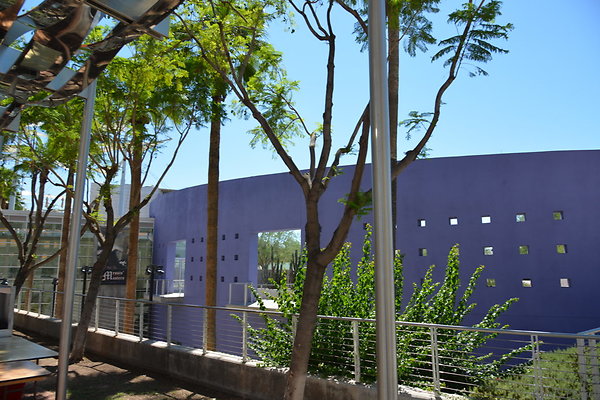 DSC 4238