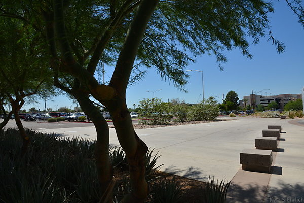 DSC 4019