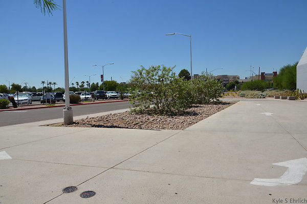 DSC 4013