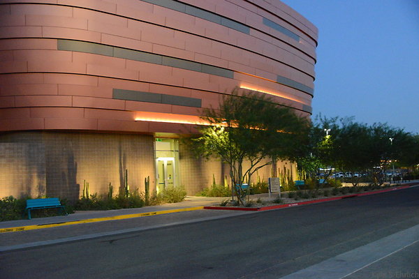 DSC 5995