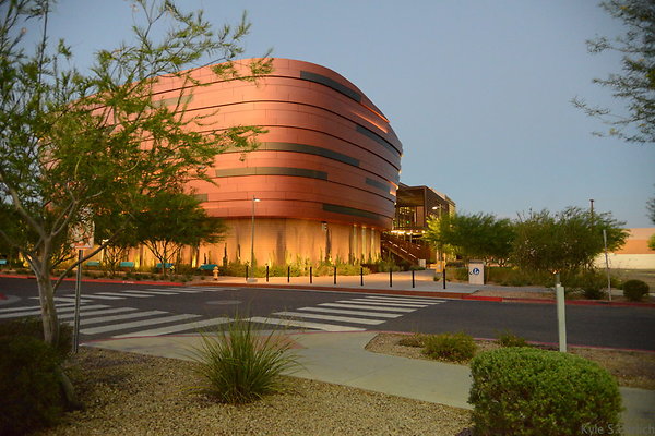 DSC 5981