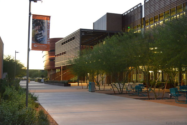 DSC 5956