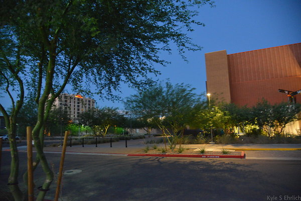 DSC 5997