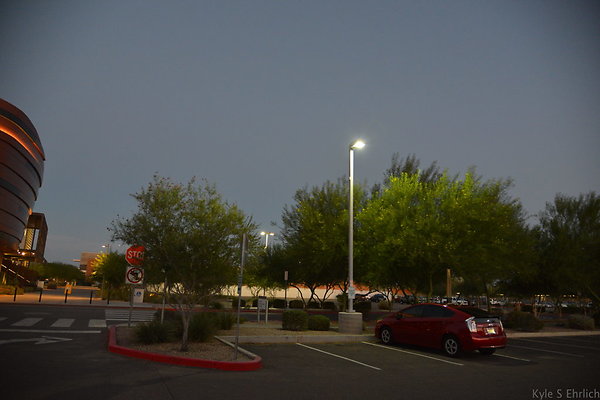 DSC 5980