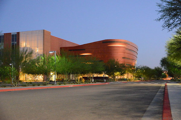 DSC 6017