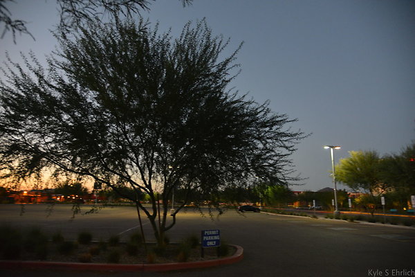 DSC 5978