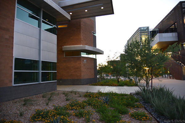 DSC 5937