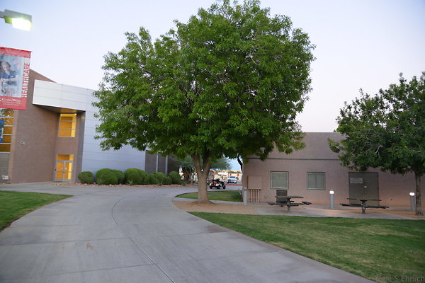 DSC 5909