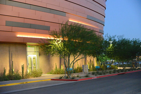 DSC 5996