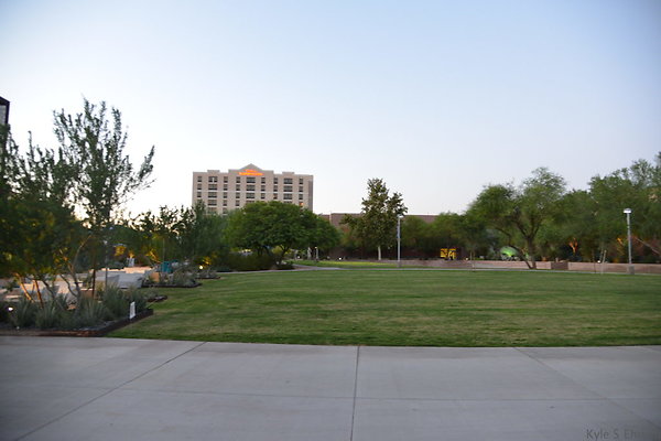 DSC 5939