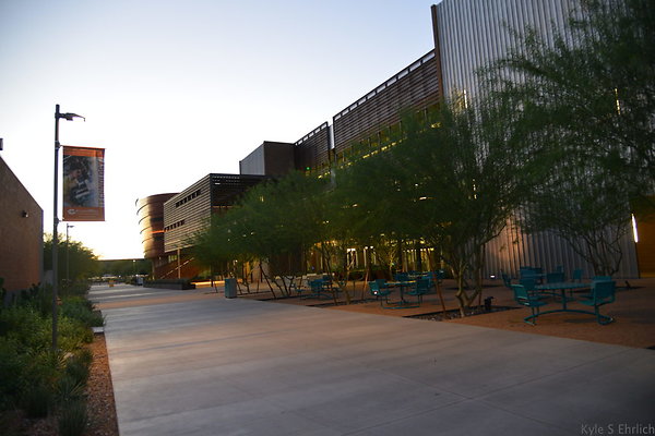 DSC 5952
