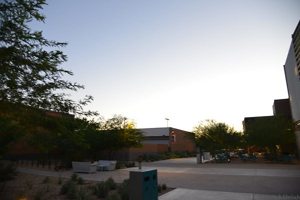 DSC 5943