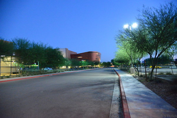 DSC 6028
