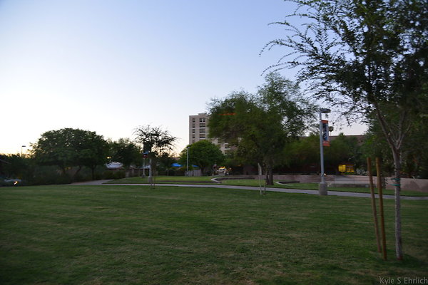 DSC 5907