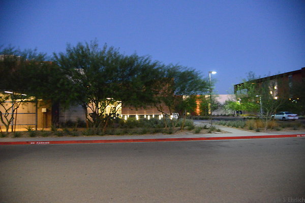 DSC 6013