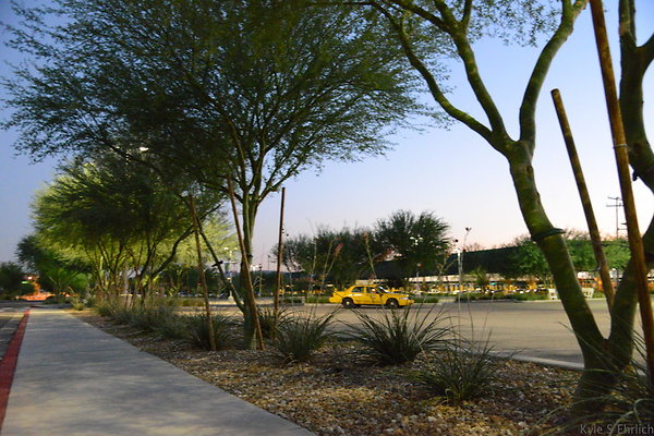 DSC 6021