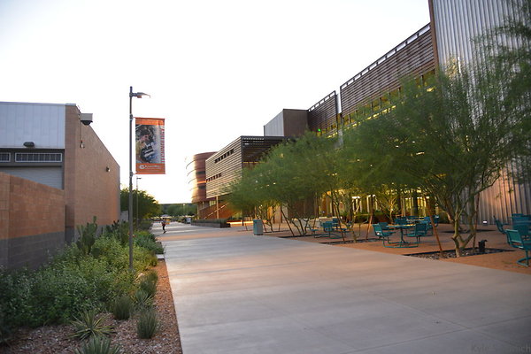 DSC 5949