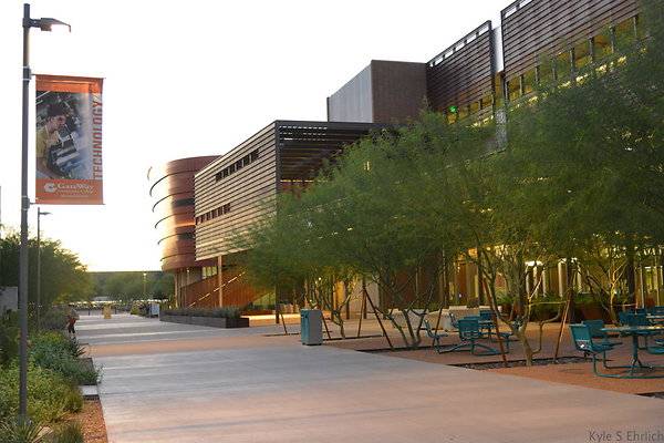 DSC 5950