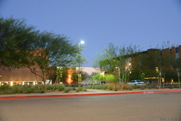 DSC 6019