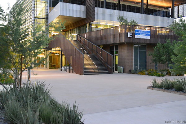 DSC 5935