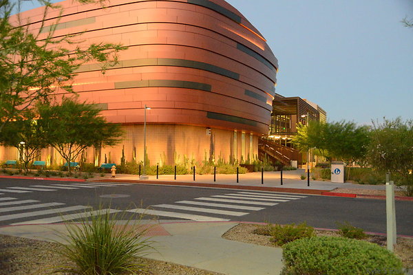 DSC 5982