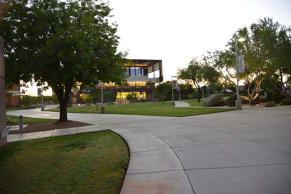 DSC 5923