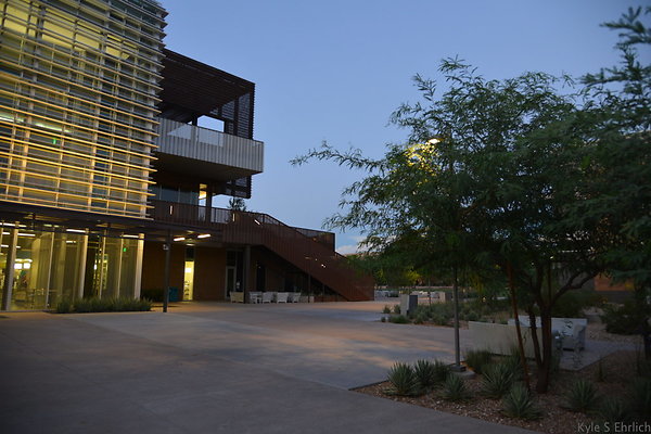 DSC 5961