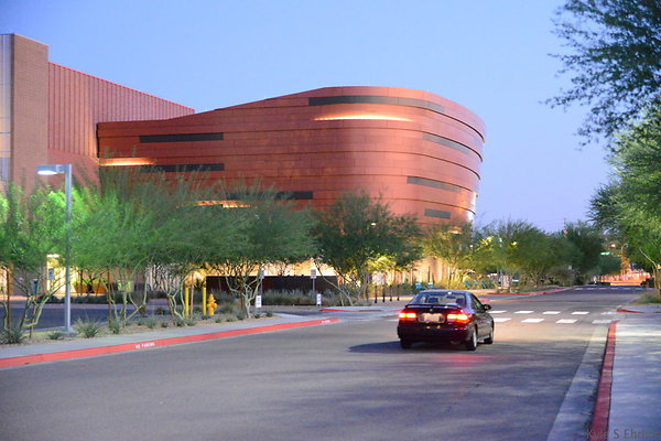 DSC 6009