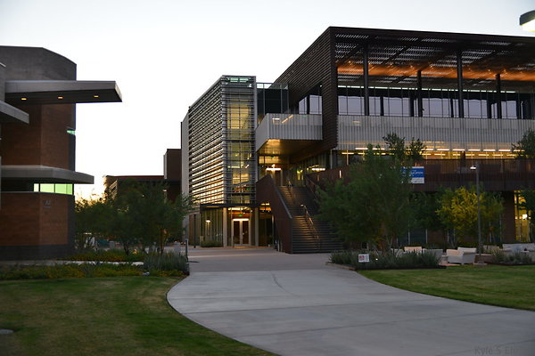DSC 5900