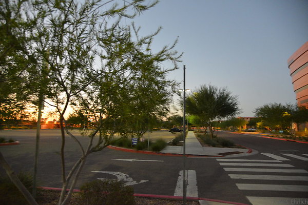 DSC 5987