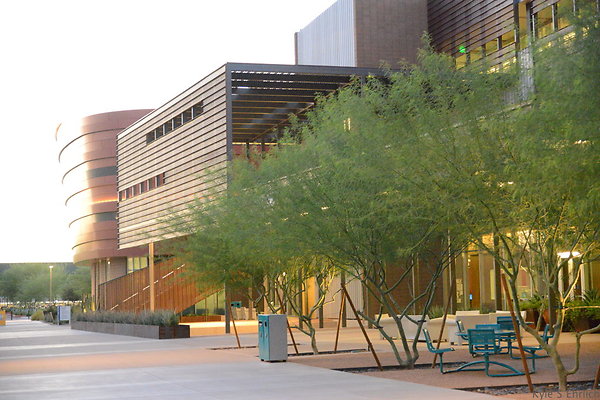 DSC 5951