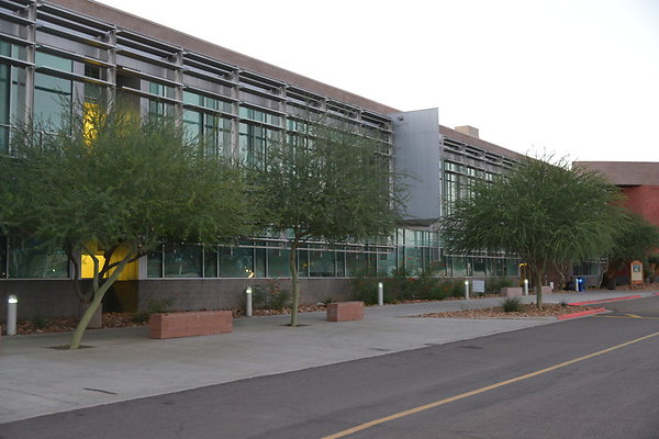 DSC 5919