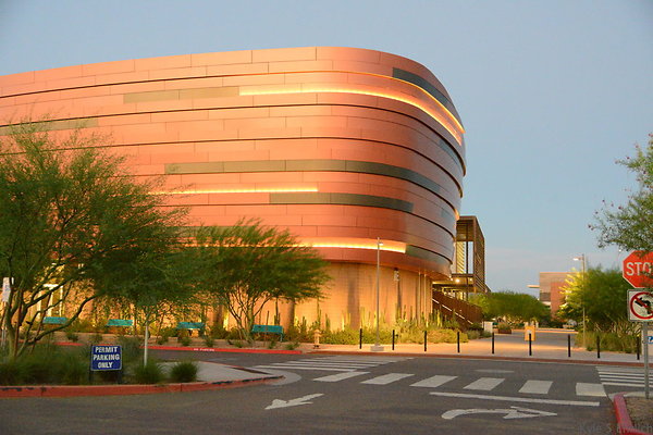 DSC 5976
