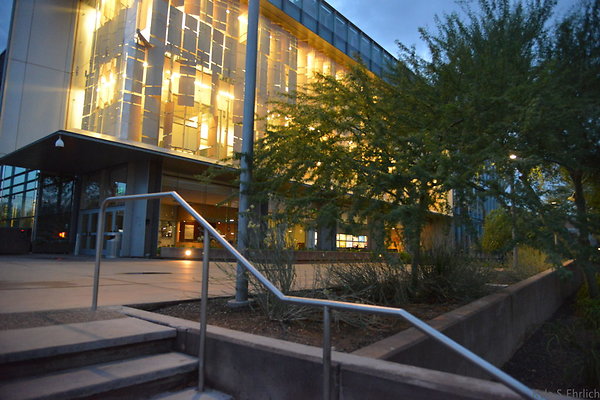 DSC 1107