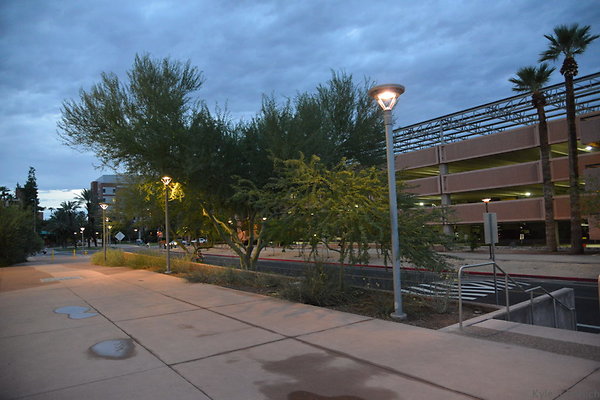 DSC 1101