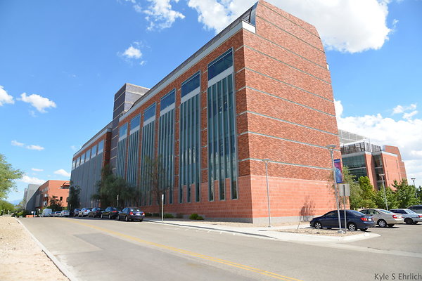 DSC 7919