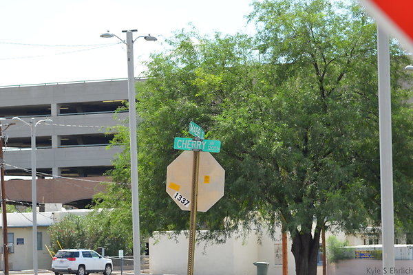 DSC 7918