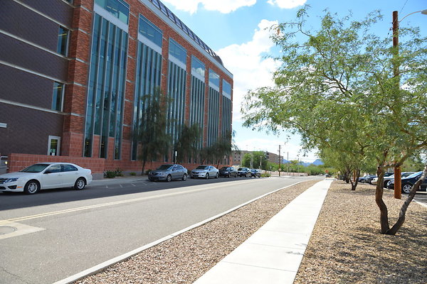 DSC 7911