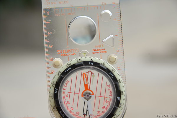 DSC 1973