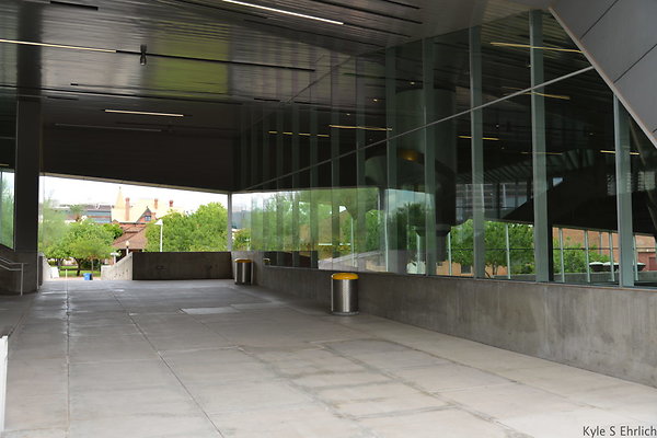 DSC 1981