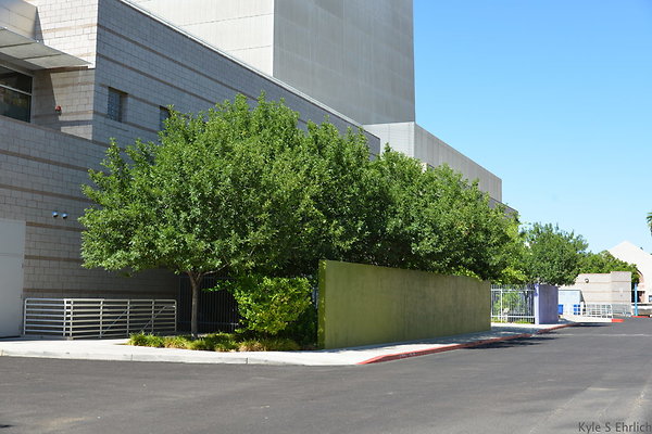 DSC 4330