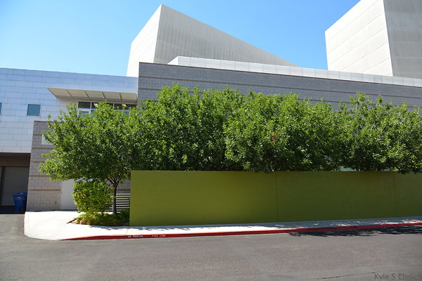 DSC 4351